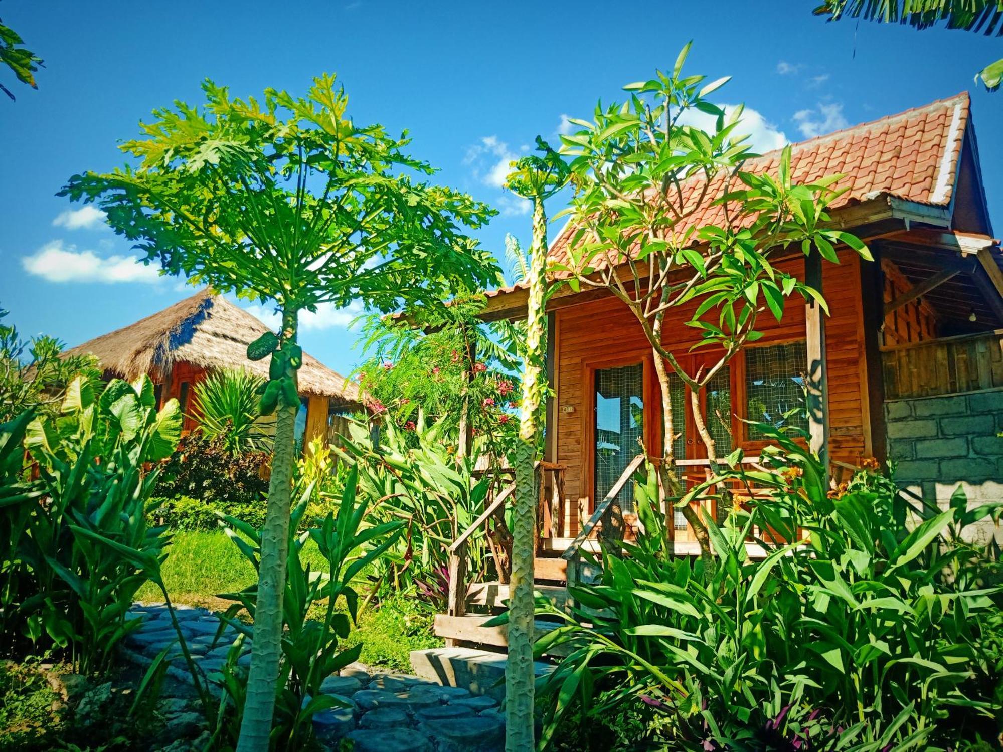 Umah Kayu 2-Menjangan Homestay Banyuwedang Zewnętrze zdjęcie
